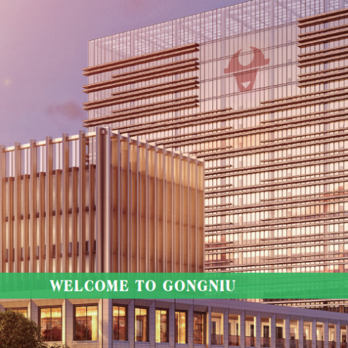 Gongniu – Giải Pháp Kết Nối Điện Toàn Diện
