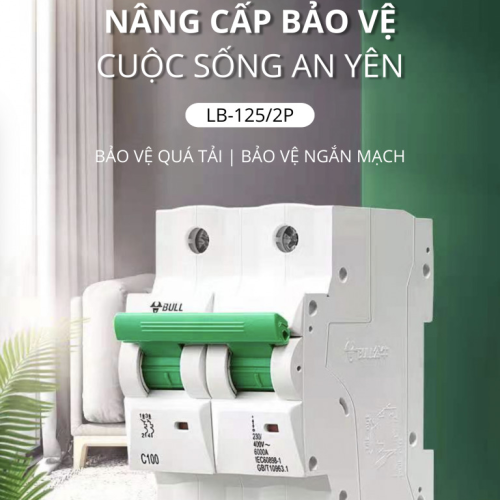 CẦU DAO TỰ ĐỘNG MCB LB-125